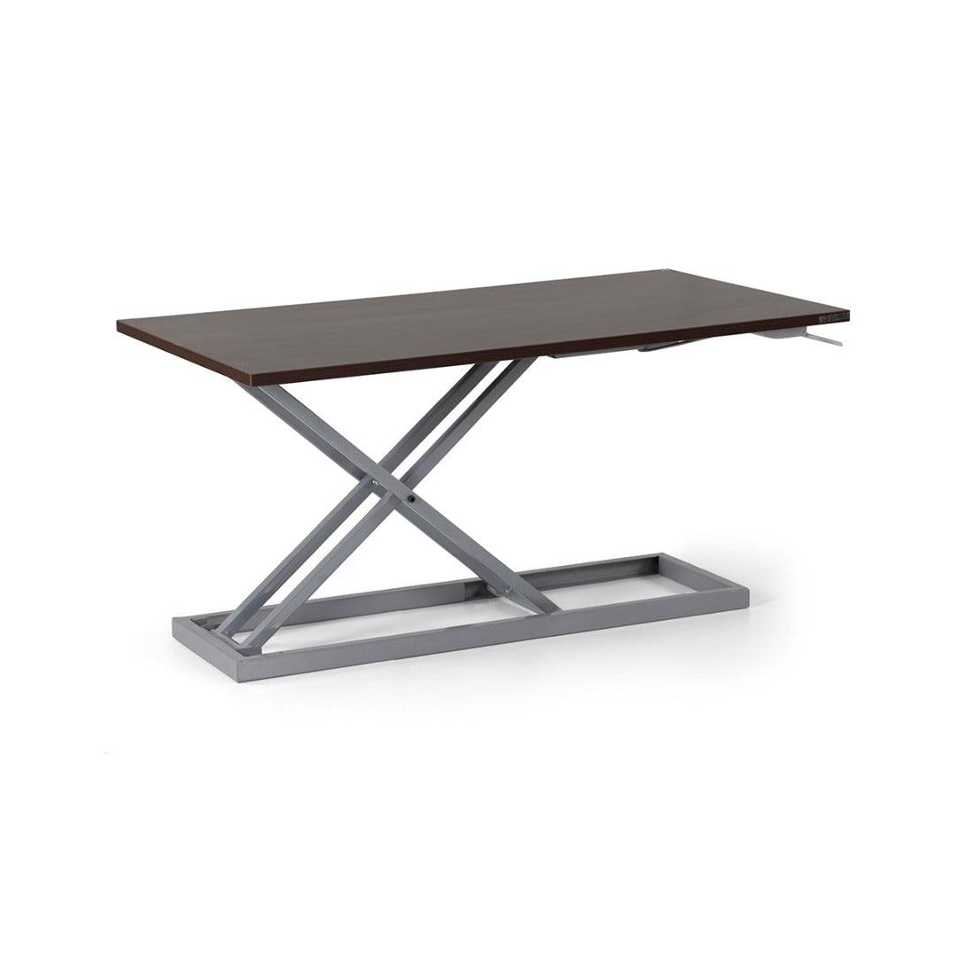 Carina Sit And Stand Desk